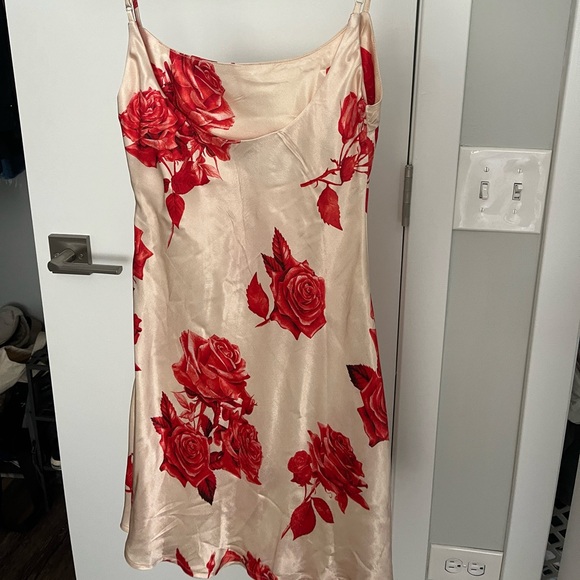 Meshki Rose Satin Dress - Picture 4 of 4